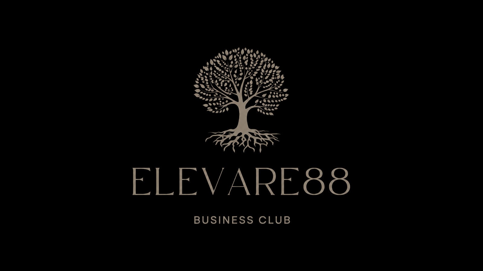 Elevare888
